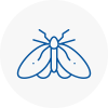 Moth Control Specialists In Bangor
